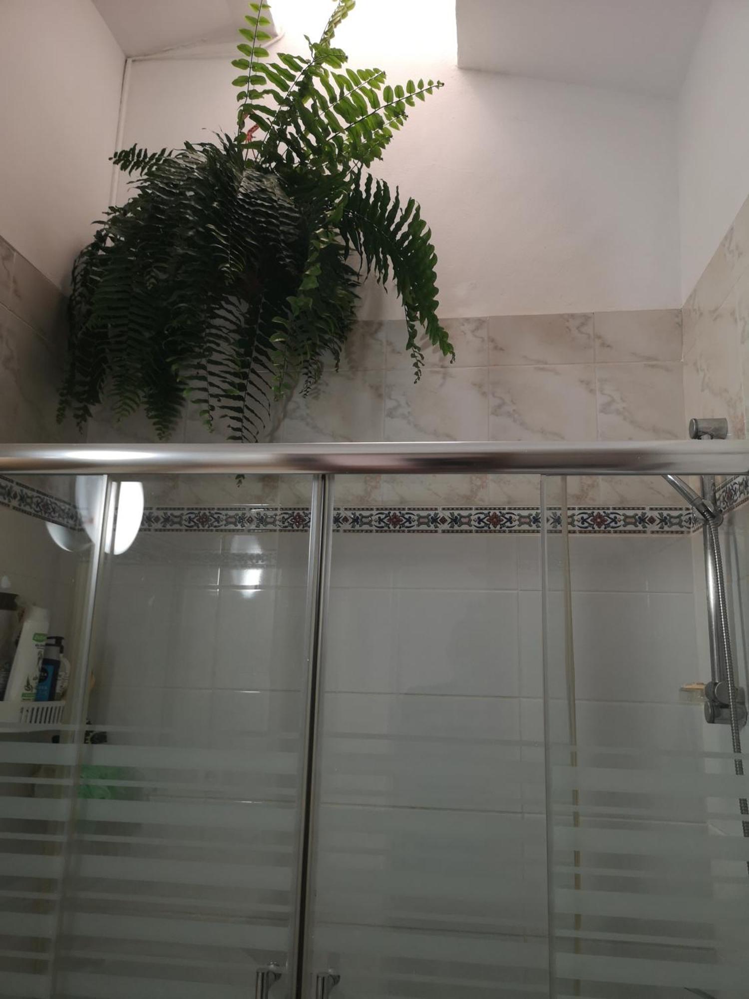 Yumbo Room 马斯帕洛马斯 外观 照片